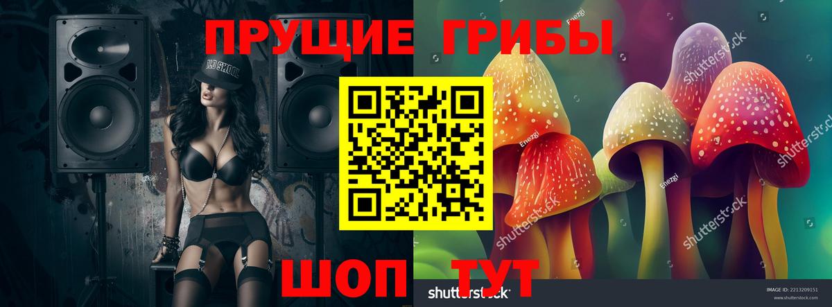 Шадринск  Псилоцибиновые грибы Cubensis  Вход с VPN 